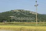 Zemljiste, Buzet, Ročko Polje, prodaja, 31255 €, 893 m2