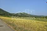 Zemljiste, Buzet, Ročko Polje, prodaja, 31255 €, 893 m2