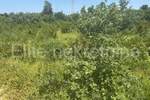 Zemljiste, Vodnjan, Peroj, prodaja, 9800 €, 514 m2
