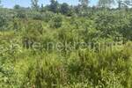 Zemljiste, Vodnjan, Peroj, prodaja, 9800 €, 514 m2