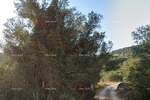 Zemljiste, Korčula, prodaja, 80000 €, 0 m2