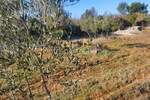Zemljiste, Fažana, prodaja, 62500 €, 2400 m2