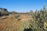 Zemljiste, Fažana, prodaja, 62500 €, 2400 m2