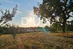 Kuca, Oprtalj, prodaja, 180000 €, 120 m2