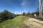 Zemljiste, Pula, Šikići, najam, 400 €, 2062 m2