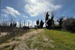 Zemljiste, Pula, Šikići, najam, 400 €, 2062 m2