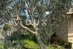 Kuca, Medulin, Banjole, prodaja, 79000 €, 42 m2