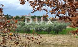 Zemljiste, Buje, prodaja, 175000 €, 995 m2