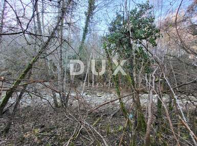Zemljiste, Buzet, prodaja, 21000 €, 6482 m2