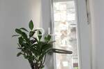 Trosoban stan, Pula, Centar, prodaja, 290000 €, 61 m2
