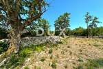 Zemljiste, Raša, Sveti Lovreč Labinski, prodaja, 1125000 €, 8600 m2