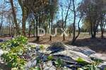 Zemljiste, Marčana, Rakalj, prodaja, 220000 €, 3004 m2