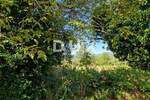 Zemljiste, Buzet, prodaja, 45000 €, 1136 m2