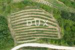 Zemljiste, Motovun, prodaja, 165000 €, 2812 m2