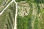 Zemljiste, Motovun, prodaja, 165000 €, 2812 m2