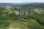 Zemljiste, Motovun, prodaja, 165000 €, 2812 m2