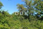 Zemljiste, Vodnjan, Peroj, prodaja, 125440 €, 1792 m2
