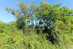 Zemljiste, Vodnjan, Peroj, prodaja, 125440 €, 1792 m2
