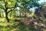 Zemljiste, Vodnjan, Peroj, prodaja, 125440 €, 1792 m2
