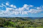 Kuca, Buzet, prodaja, 1 €, 512 m2