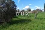 Zemljiste, Žminj, Cere, prodaja, 300000 €, 3233 m2