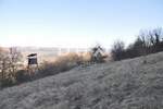 Zemljiste, Buzet, Baredine, prodaja, 230000 €, 82645 m2
