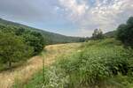 Zemljiste, Buzet, Sovinjak, prodaja, 135000 €, 57356 m2
