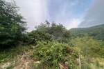 Zemljiste, Buzet, Sovinjak, prodaja, 135000 €, 57356 m2