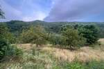 Zemljiste, Buzet, Sovinjak, prodaja, 135000 €, 57356 m2