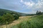 Zemljiste, Buzet, Sovinjak, prodaja, 135000 €, 57356 m2