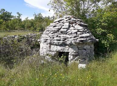Zemljiste, Svetvinčenat, Režanci, prodaja, 77000 €, 24600 m2