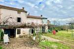 Kuca, Umag, prodaja, 300000 €, 300 m2