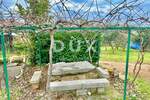 Kuca, Umag, prodaja, 300000 €, 300 m2