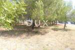 Zemljiste, Rab, Barbat na Rabu, prodaja, 255000 €, 1426 m2