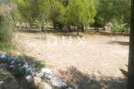 Zemljiste, Rab, Barbat na Rabu, prodaja, 255000 €, 1426 m2