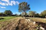Zemljiste, Dobrinj, Šilo, prodaja, 28999 €, 435 m2