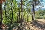 Zemljiste, Grožnjan, prodaja, 180000 €, 1492 m2