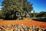 Zemljiste, Pula, Centar, prodaja, 166000 €, 2200 m2