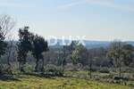 Zemljiste, Pula, Centar, prodaja, 166000 €, 2200 m2