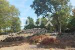 Zemljiste, Novigrad, Pridraga, prodaja, 65000 €, 1100 m2
