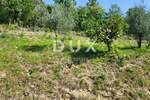Zemljiste, Buzet, Hum, prodaja, 26000 €, 4873 m2