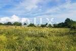 Zemljiste, Kanfanar, prodaja, 175000 €, 3892 m2