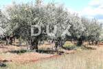 Zemljiste, Rovinj, prodaja, 500000 €, 15966 m2