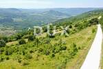Zemljiste, Motovun, prodaja, 220000 €, 3059 m2