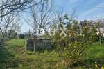 Kuca, Tinjan, Jakovici, prodaja, 240000 €, 120 m2