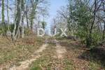 Kuca, Tinjan, Jakovici, prodaja, 240000 €, 120 m2