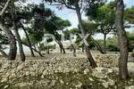 Zemljiste, Vir, prodaja, 90000 €, 3367 m2