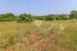 Zemljiste, Rovinj, prodaja, 210000 €, 1037 m2