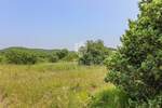 Zemljiste, Rovinj, prodaja, 210000 €, 1037 m2