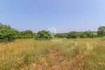 Zemljiste, Rovinj, prodaja, 210000 €, 1037 m2